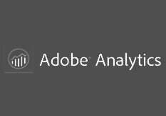 adobe analytics consultant