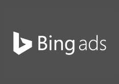 bing ads expert