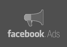 facebook ads consultant