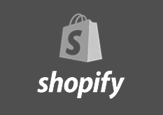 shopify seo expert