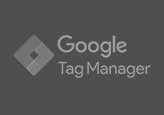 tagmanager-specialist